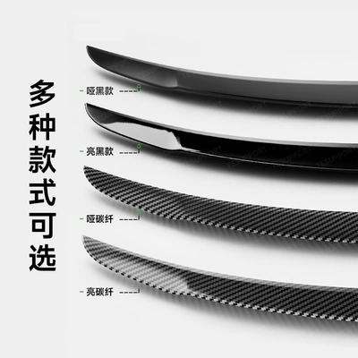 Model Y/3 High-Performance P Version — Fixed wind wing