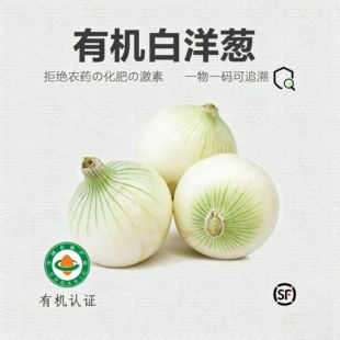 �ЙC�����[ �ЙC�J�C�o�r�� ���r�߲��보ɳ�����ԵͿ���S