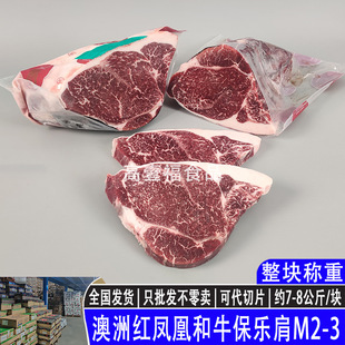 ����203�t�P�˺�ţ������M2-3���ѩ��ԭ��ţ�ſ����偟���ţ��