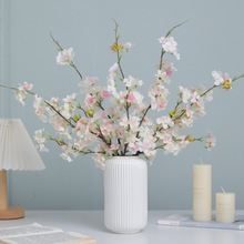 ����2���һ�֦����ѻ���֦ ��Y�Ҿ��b��T��·���滨���l�羳