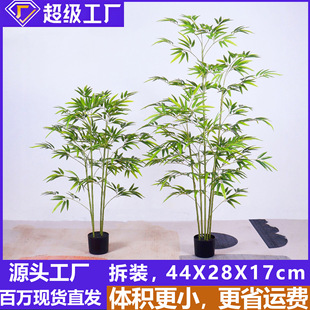 �������z�U���ӷ����Gֲ�٘��������Q�羳���b���������҃Ȕ[��