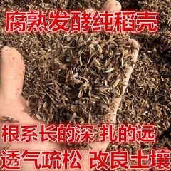 発酵籾殻分解鉢植え、土籾殻緑植物鉢植え、花、ベニヤダルシム、バラ、一般メーカー