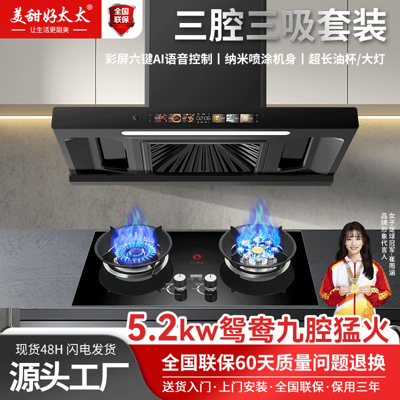 Top-Suction Range Hood Home Kitchen Large Suction Rental T-Shaped Machine European-Style Range Hood Gas Stove Package