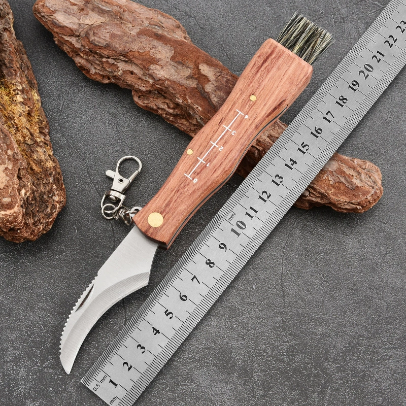 Universal travel pocket knife, brush, Birthday gift, wholesale