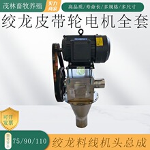 �g���Ͼ��C�^���DƤ��݆늙C�g�����D�Ͼ����ȫ���Ԅ��Ͼ��i