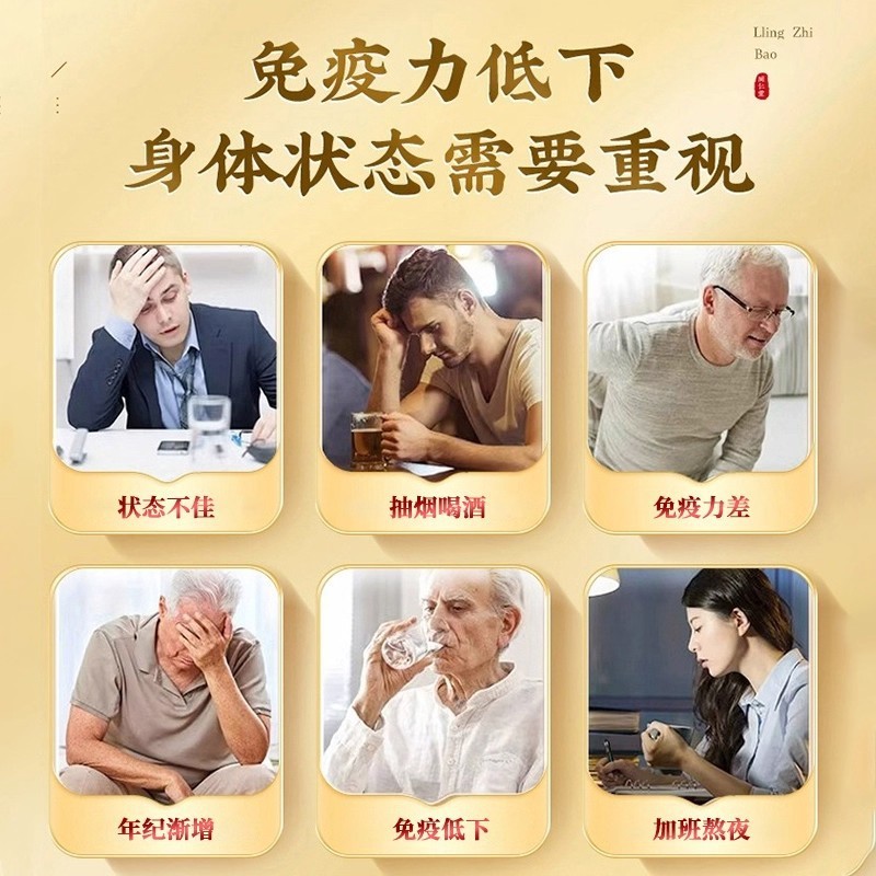 北京同仁堂破壁灵芝孢子粉强免疫力中秋送礼盒健康品现货批发代发|undefined