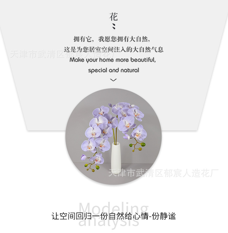 详情_05.png