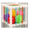 Fruit Segsen [with 6 fruits] bag