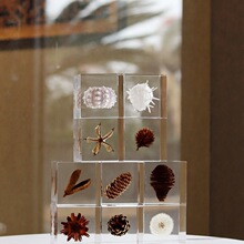 ֲ��˱��ѹ�Ӣ����͸���[���͏d�����F���p�ݘ�֬�OӋ��ܛ�b�Ʒ