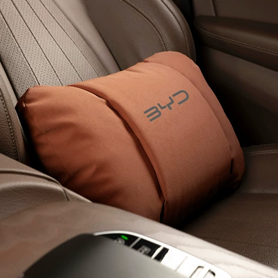 Waist support — Suitable for Byd Headrest and Lumbar - butterfly-style-ideal-orange-byd-lumbar-support-set