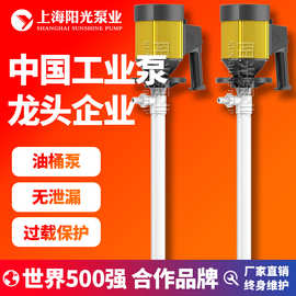 HD抽液泵抽油泵加油泵边立式电动油桶泵不锈钢抽油泵阳光泵业定金