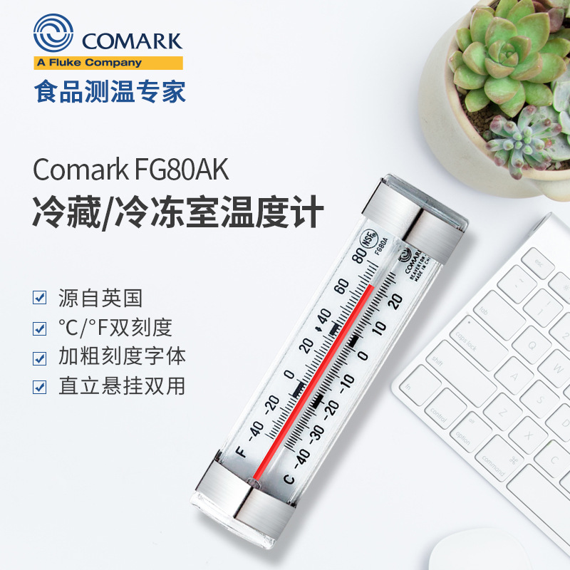 FLUKE福禄克FG80AK冰箱冷藏柜冷冻室温度计冷藏车专用温度计
