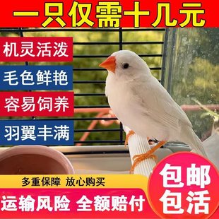 �����B�������Ұ����B�߲����B�Ұ�������B�Ȍ����Bһ��С�B��