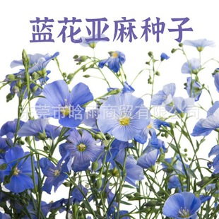 �{�����黨�N���̨����ͥԺ�����ļ����N�׻�������{�ϻ��ܷN��