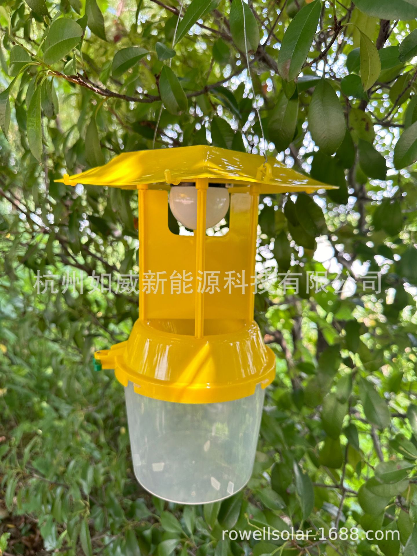 微信图片_20240813164938