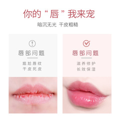 The Disney Sleep Mask Dead Skin Removal and Lip Line Lightening, Nourishing, Hydrating, Moisturizing, and Hydrating Lip Balm Manufacturer