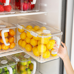 冷蔵庫収納ボックス食品グレードのキッチン特別な冷凍密封透明野菜と果物の収納ボックス卸売