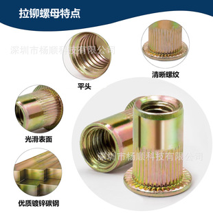 �羳300pcs���b ̼䓲��\ƽ�^�Q�y���T��ĸ����/Ӣ�Ʋ����ݼy�T�