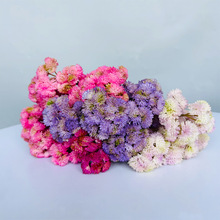 �S��ֱ�N��������ָ����й�������ٻ�ܛ�z����ֲ��羳��Ʒ�˻�