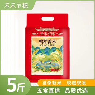 �峣���a�峣�a��ֱ�_�����������i�r��������2.5kg