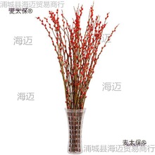 银柳真花鲜枝新年宵花卉盆栽红色干花福桶室内花绿植物雪柳垒德株