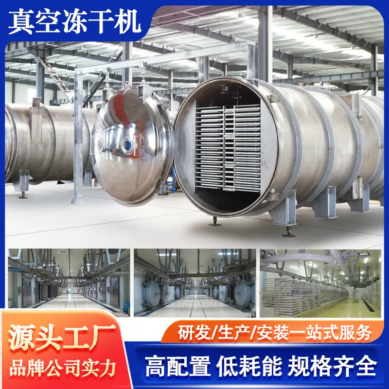 猕猴桃冻干机商用智能控制葱花水蜜桃真空冷冻干燥机苹果冻干设备