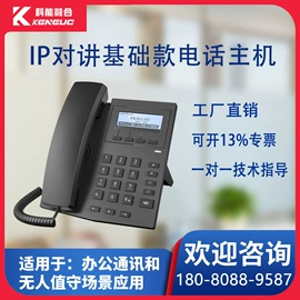 网络电话机;声讯系统;可视对讲