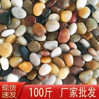 100斤鹅卵石铺地庭院铺路造景石头石子花园阳台装饰五彩石雨花石