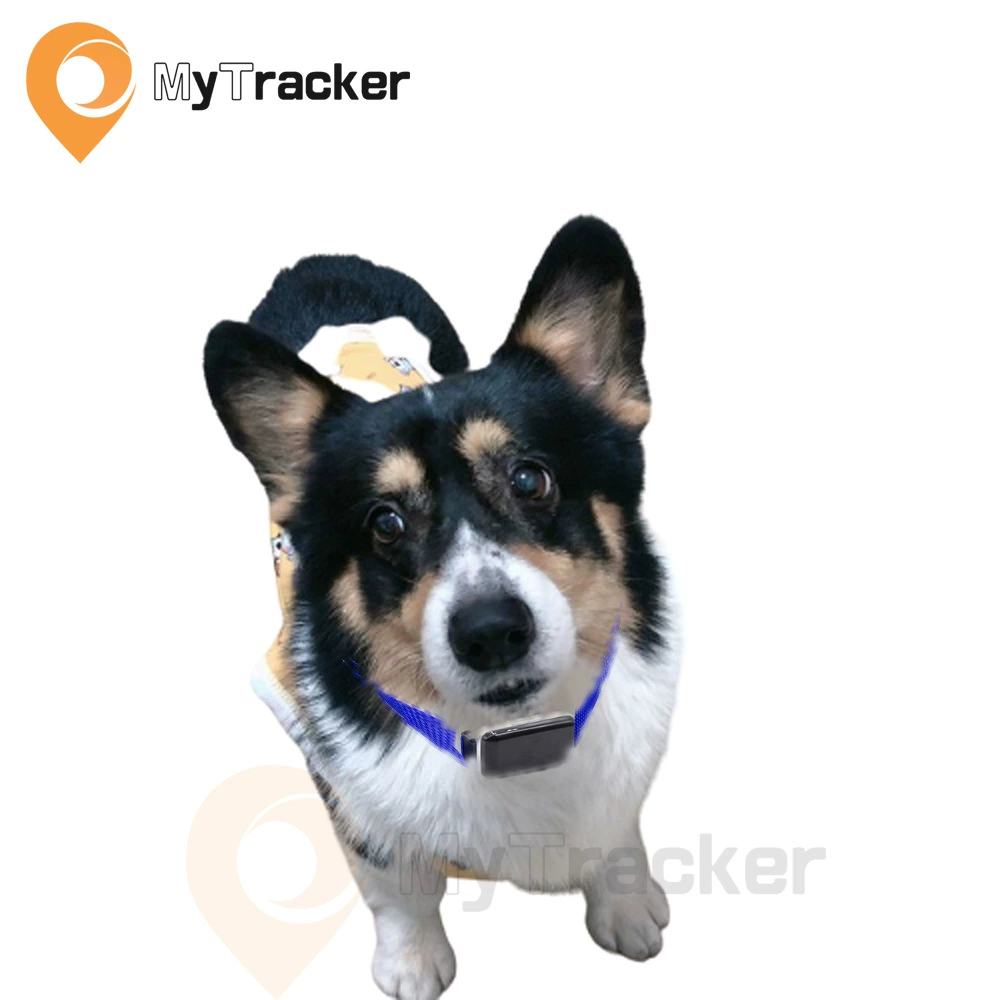 Умный ошейник трекер позиционирования домашних животных Крупный рогатый скот лошадь собака кошка отслеживание анти-потерянный ошейник трекер домашних животных трансграничный