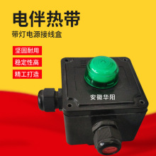 电伴热带带灯电源接线盒伴热电缆带灯接线盒220V/40A防爆首段盒