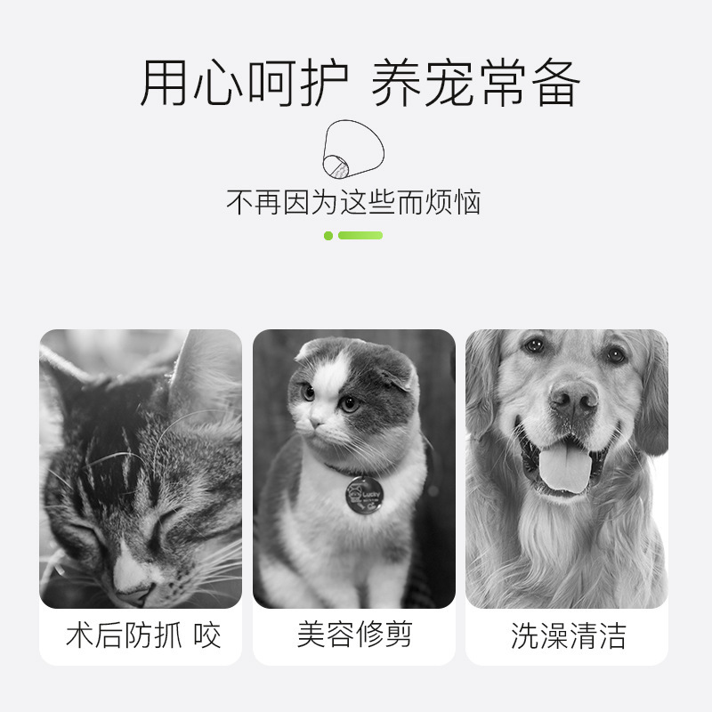 Anillo de sol Elizabeth esponja EVA cubierta de cabeza ligera para gatos collar de cuello anti-laging anillo de vergüenza esterilización