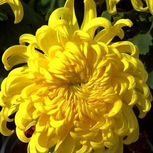 ���r���|�ջ����K�r���S�ջ�ֱ�l���l�����r�л������Ĺ����