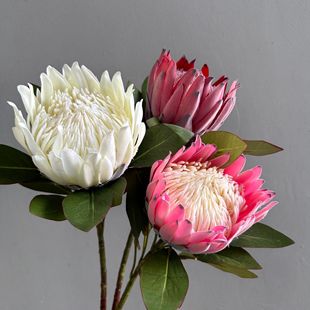 ���滨�Ϸǵ��� ������ �Ҿ��b[������߷����쾰�zӰ�����羳