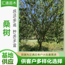 10&mdash;20����ɣ�����Ե��Թ�ɣ��������Դ���ɣ�ؘ������F؛