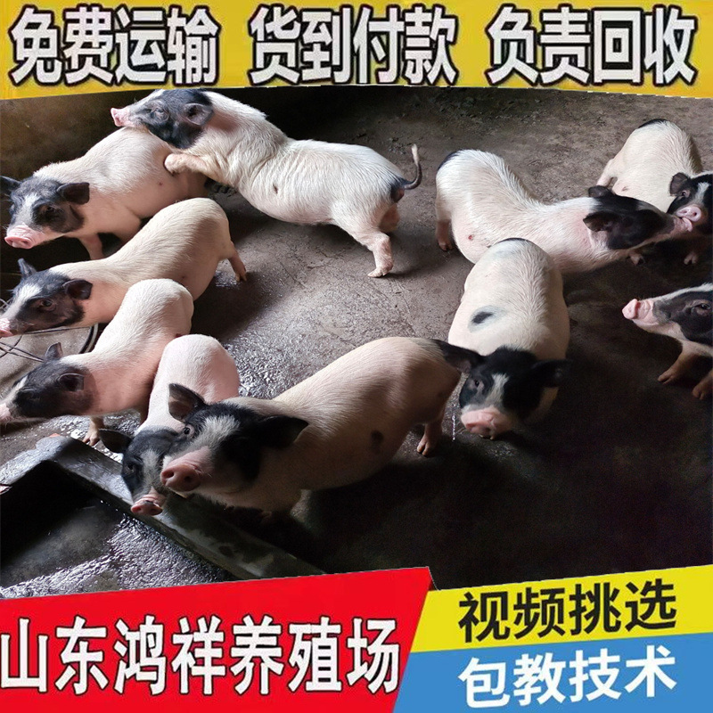 8df4d320226c4d66bdccbffad69f0a