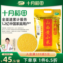 2023年新小米十月稻田山西黄小米5斤山西特产小米粥2.5kg米油丰厚