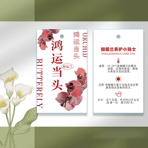 Phalaenopsis plant hanging card