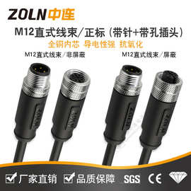 中连M12线束IP67防水正标2464黑色直式带针插头传感器常用带屏蔽