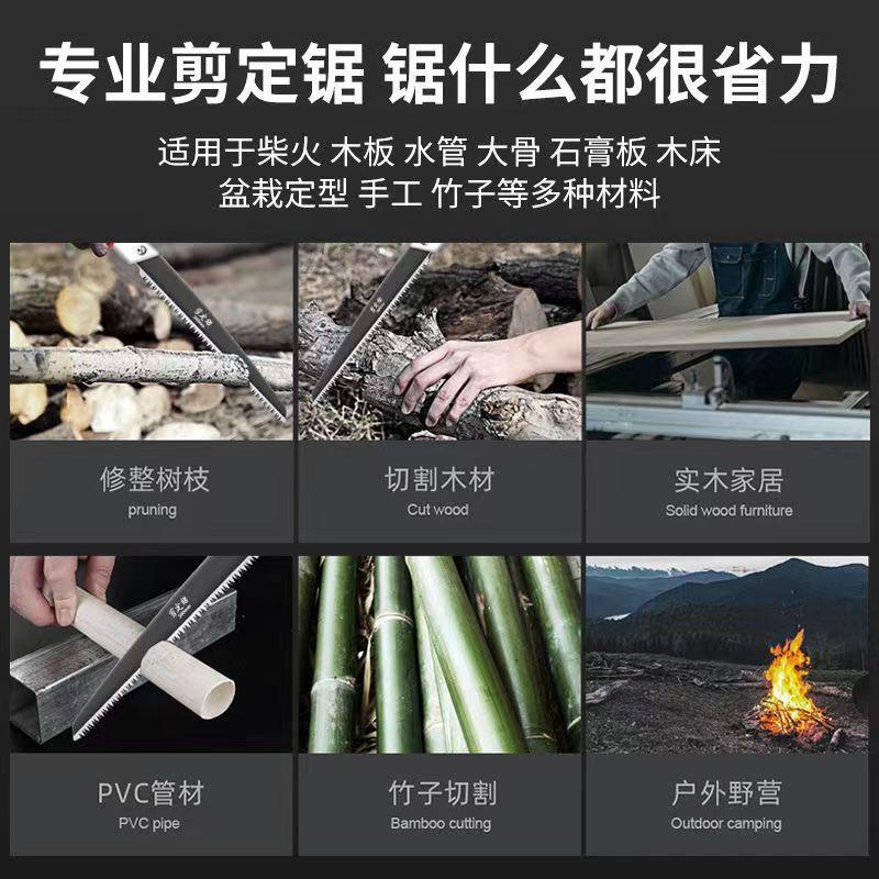 DM_20241022164322_006