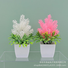 GֲԼٻ辰͏d[kҕbPƙ޹²