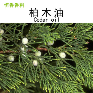 �S�ҹ��� ���ľ�� ѩ���� �Ȱؽz�س�� �η�����