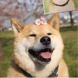 手账套装;夏凉被;男式休闲裤