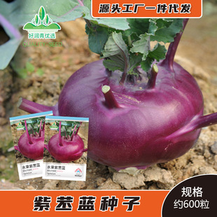 ˮ�������{�N����ɫ������m�N��ا�{���o�̲˴��^���ļ����Բ˷N