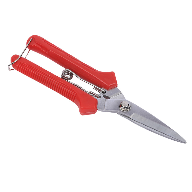 Acero inoxidable tijeras de recolección de uva multifuncional horticultura tijeras de fruta delgada tijeras de verduras tijeras de flores tijeras de huerto de枸杞