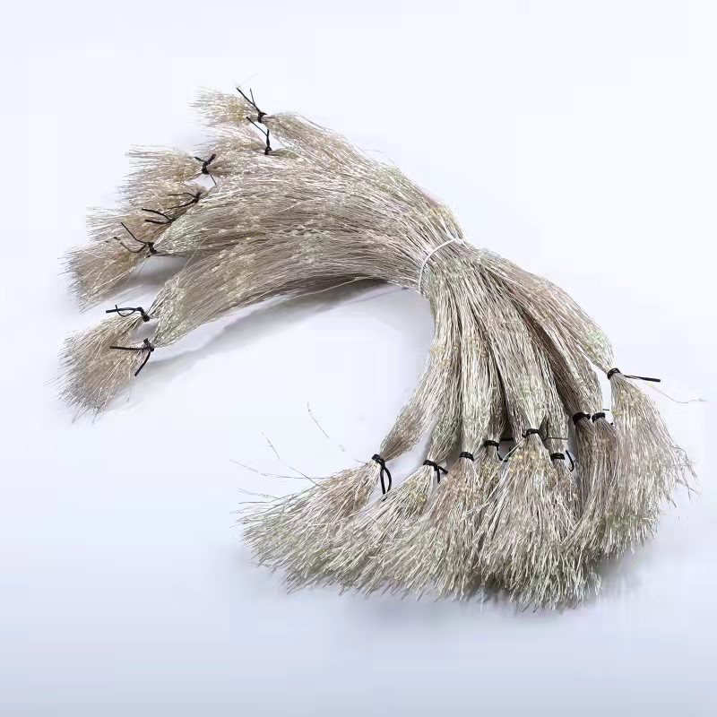 d54dcb2fe6f0482d2f1b814547234f