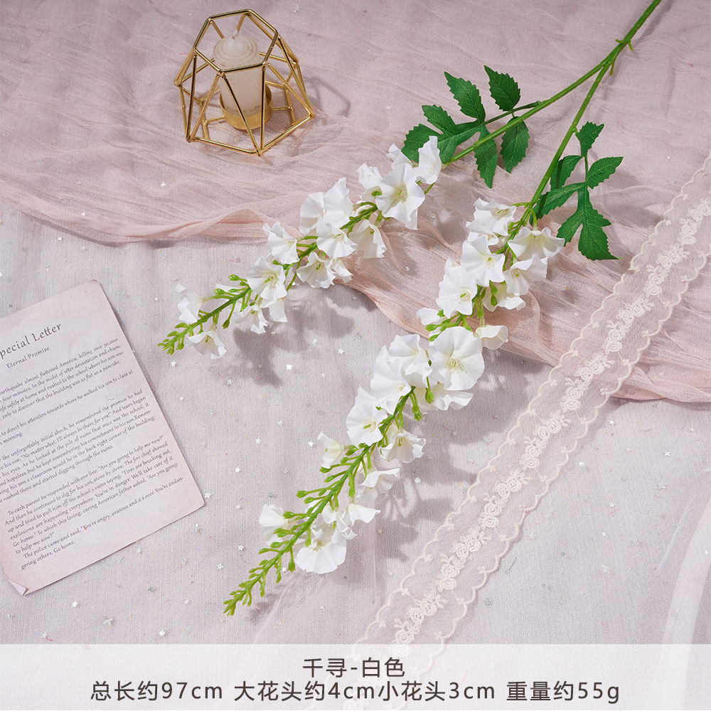XQ-เฉียนซุน-ขาว