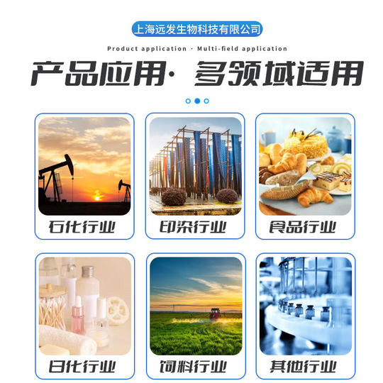 Stone medicine sodium ascorbate food grade vitamin C sodium wholesale antioxidant VC sodium stone medicine sodium ascorbate
