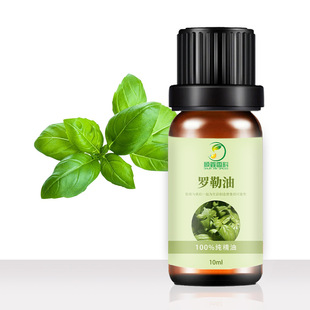 �����_����BasilOil��춻��yƷԭ��ˮ���;�������޹ֲ�ﾫ�ͺ���