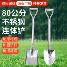 �F؛����80���ֲ��P��B�w�P�r�Ñ����F�P�F�}���P�@�ֹ������l