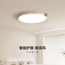 全光谱果果灯法式奶油风卧室书房吸顶灯北欧温馨可爱儿童吸顶灯具